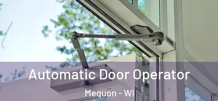Automatic Door Operator Mequon - WI