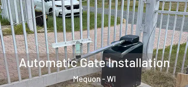 Automatic Gate Installation Mequon - WI