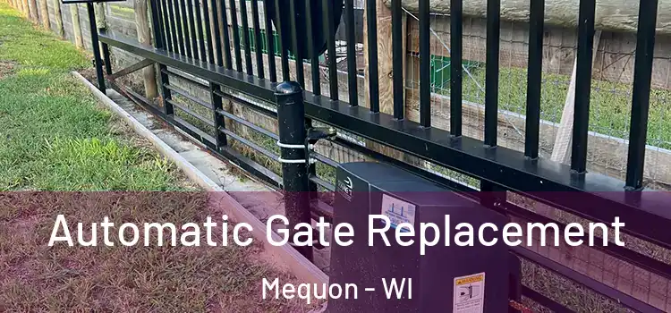 Automatic Gate Replacement Mequon - WI