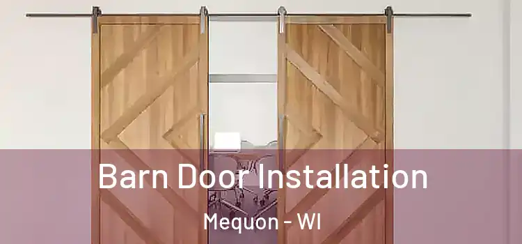 Barn Door Installation Mequon - WI