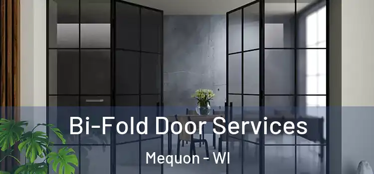 Bi-Fold Door Services Mequon - WI