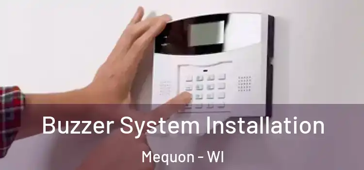 Buzzer System Installation Mequon - WI