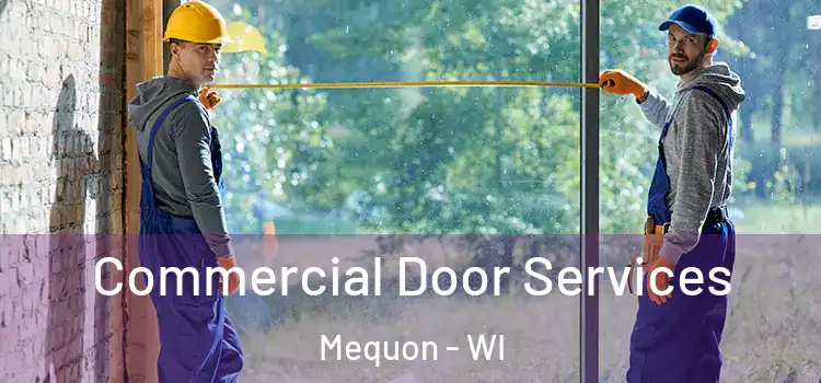 Commercial Door Services Mequon - WI