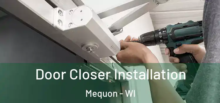 Door Closer Installation Mequon - WI