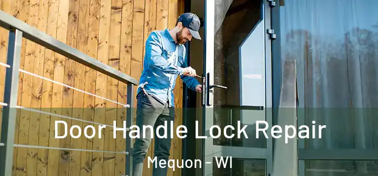 Door Handle Lock Repair Mequon - WI