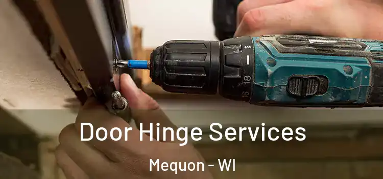 Door Hinge Services Mequon - WI