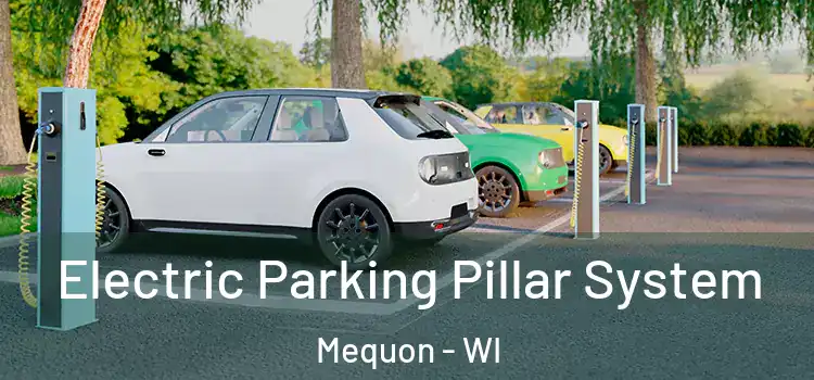 Electric Parking Pillar System Mequon - WI