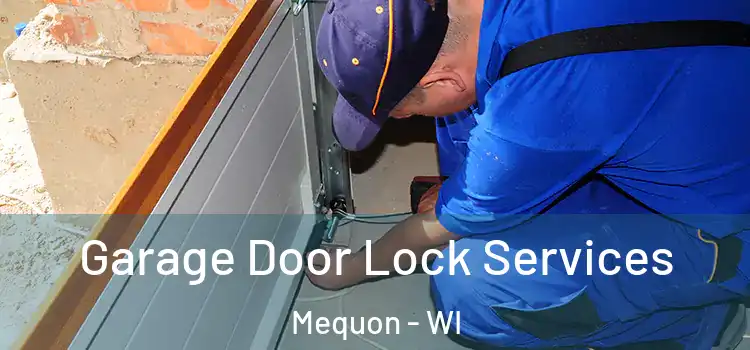 Garage Door Lock Services Mequon - WI