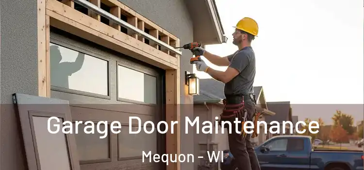 Garage Door Maintenance Mequon - WI