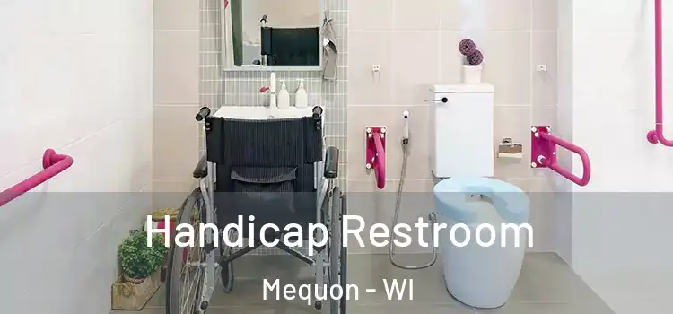Handicap Restroom Mequon - WI