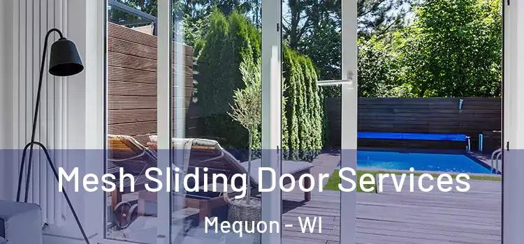 Mesh Sliding Door Services Mequon - WI