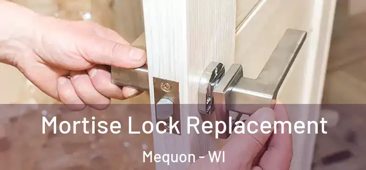 Mortise Lock Replacement Mequon - WI