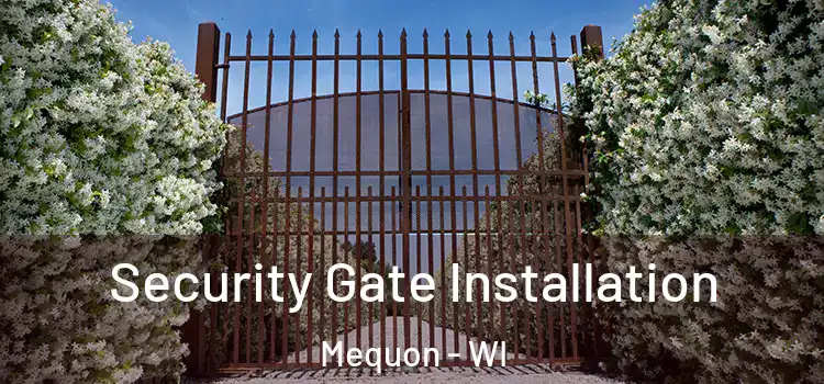 Security Gate Installation Mequon - WI