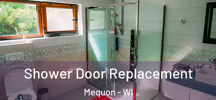 Shower Door Replacement Mequon - WI