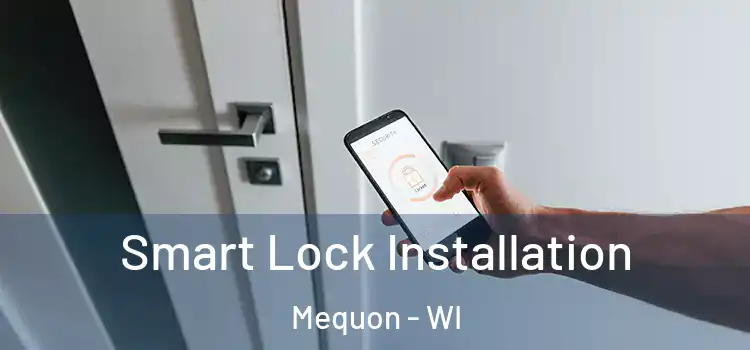 Smart Lock Installation Mequon - WI