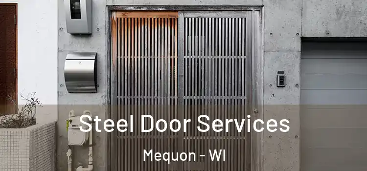 Steel Door Services Mequon - WI